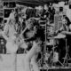 Status Quo Pinkpop Netherlands 1974