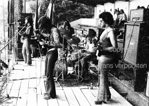 Stealers Wheel Pinkpop