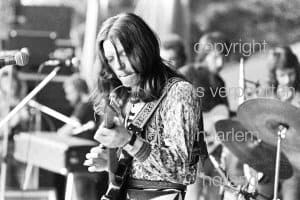 Stealers Wheel Pinkpop